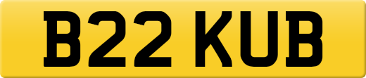 B22KUB