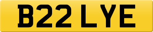 B22LYE
