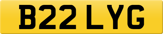B22LYG