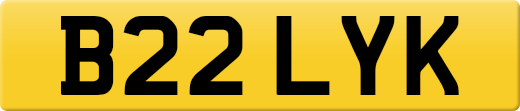 B22LYK