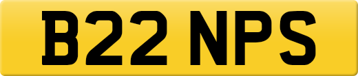 B22NPS