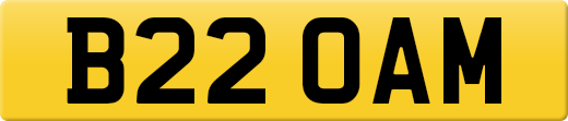 B22OAM
