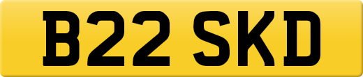 B22SKD
