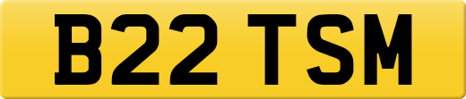 B22TSM