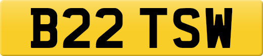 B22TSW