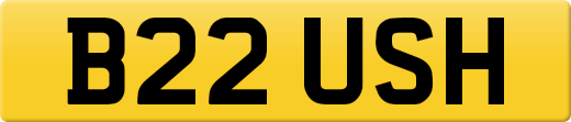 B22USH