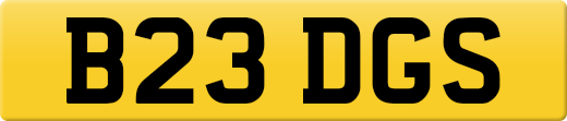 B23DGS