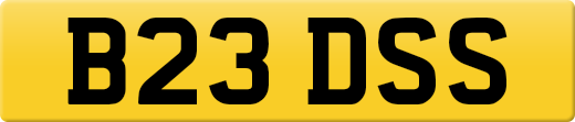 B23DSS