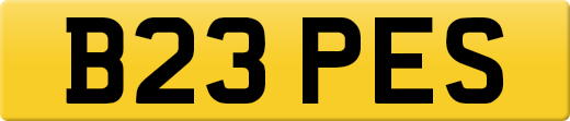 B23PES