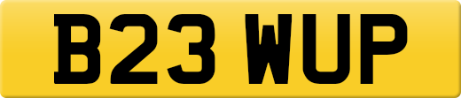 B23WUP