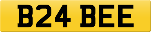 B24BEE