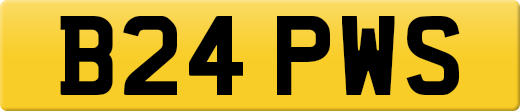 B24PWS