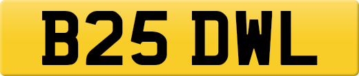 B25DWL