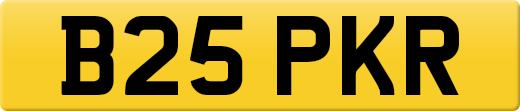 B25PKR