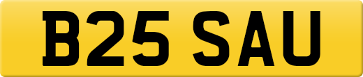 B25SAU