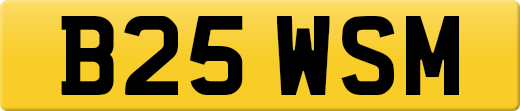 B25WSM