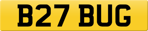 B27BUG