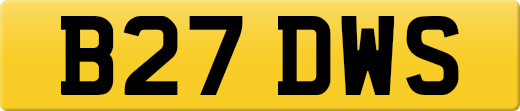 B27DWS
