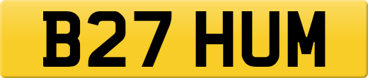 B27HUM