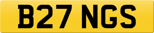 B27NGS