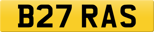 B27RAS