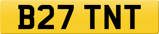 B27TNT