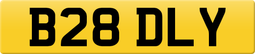 B28DLY