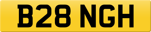 B28NGH