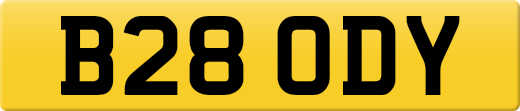 B28ODY