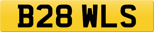 B28WLS