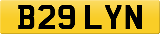 B29LYN