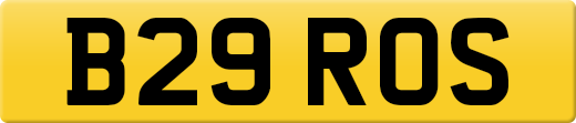 B29ROS