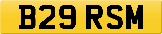 B29RSM