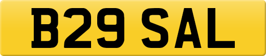 B29SAL