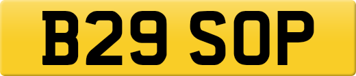 B29SOP