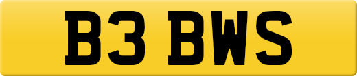 B3BWS
