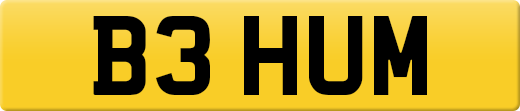 B3HUM