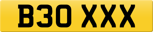 B30XXX