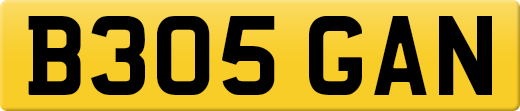 B305GAN
