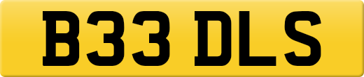 B33DLS