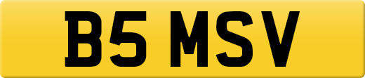 B5MSV