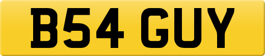 B54GUY