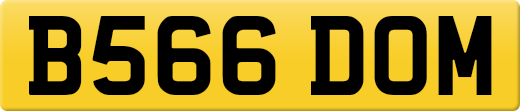B566DOM
