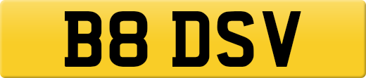 B8DSV