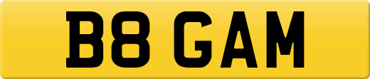 B8GAM