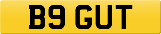 B9GUT