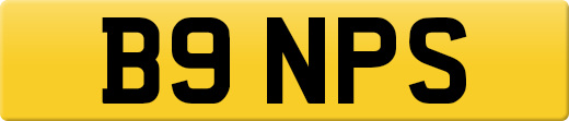 B9NPS