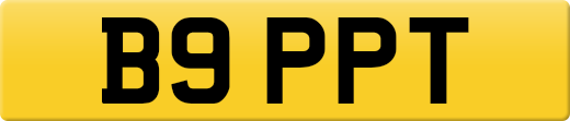B9PPT