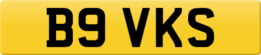 B9VKS