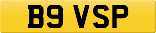 B9VSP